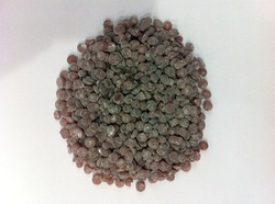 Phenolic Resin